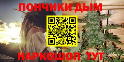прущие грибы Заволжье