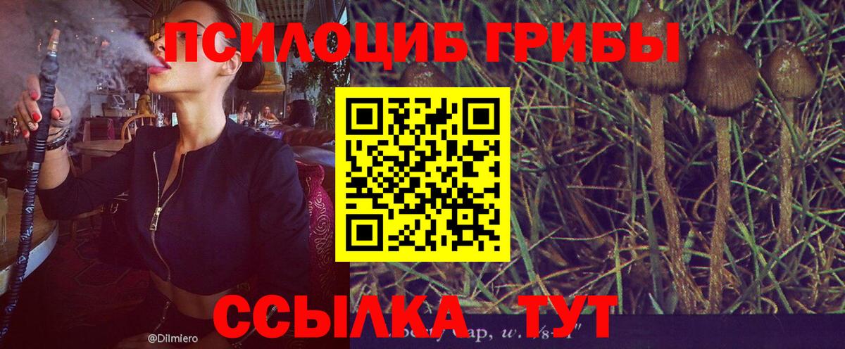 Псилоцибиновые грибы прущие грибы Мценск