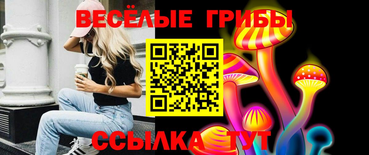 Псилоцибиновые грибы ЛСД  Вход с VPN  Мценск 